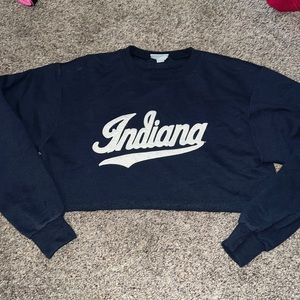 Indiana University Cropped Champion Sweatshirt